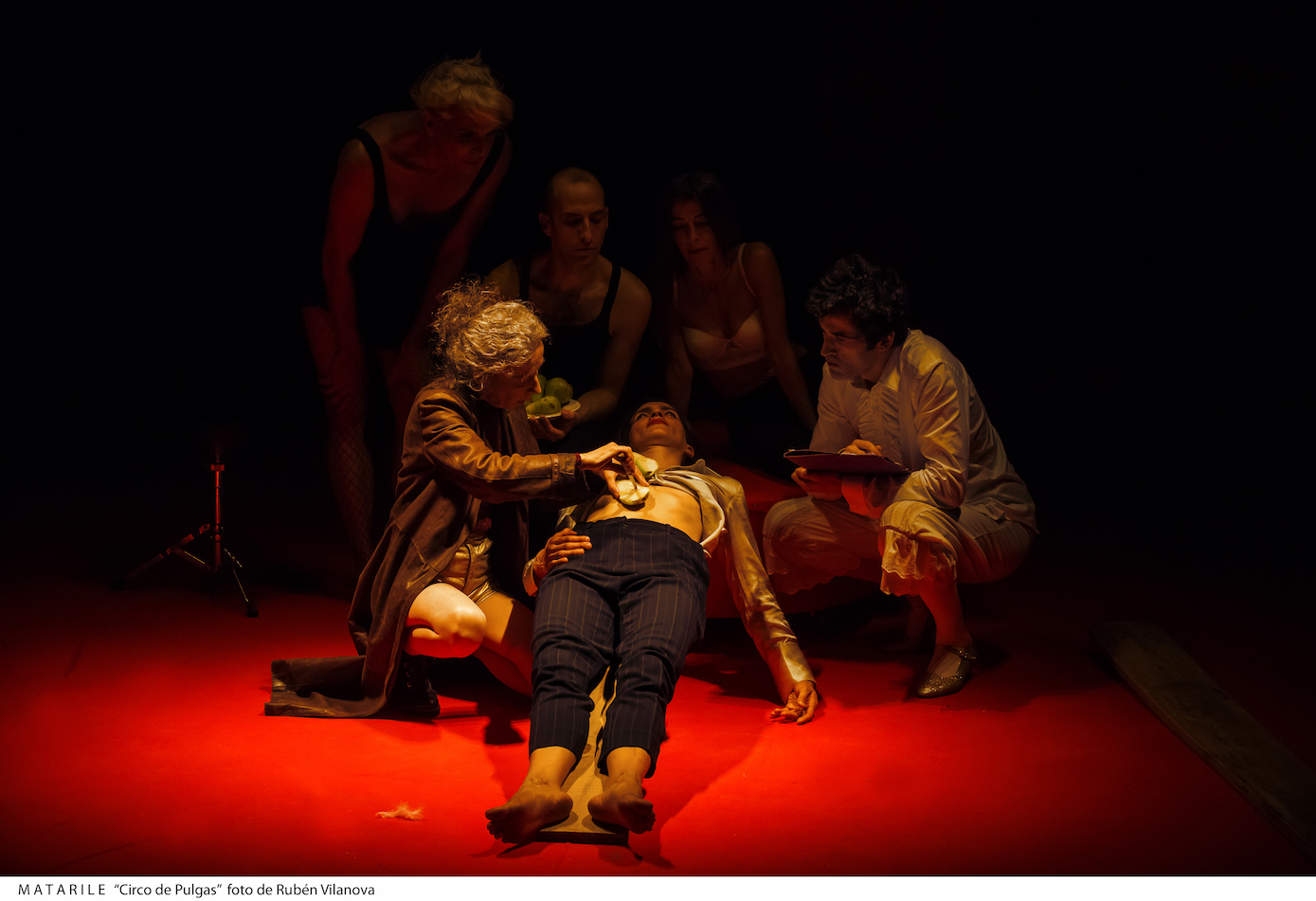 MatarileCircoPulgas16 |