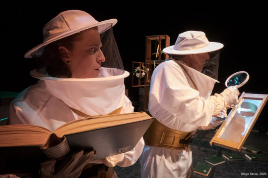 O mel non caduca de Ibuprofeno