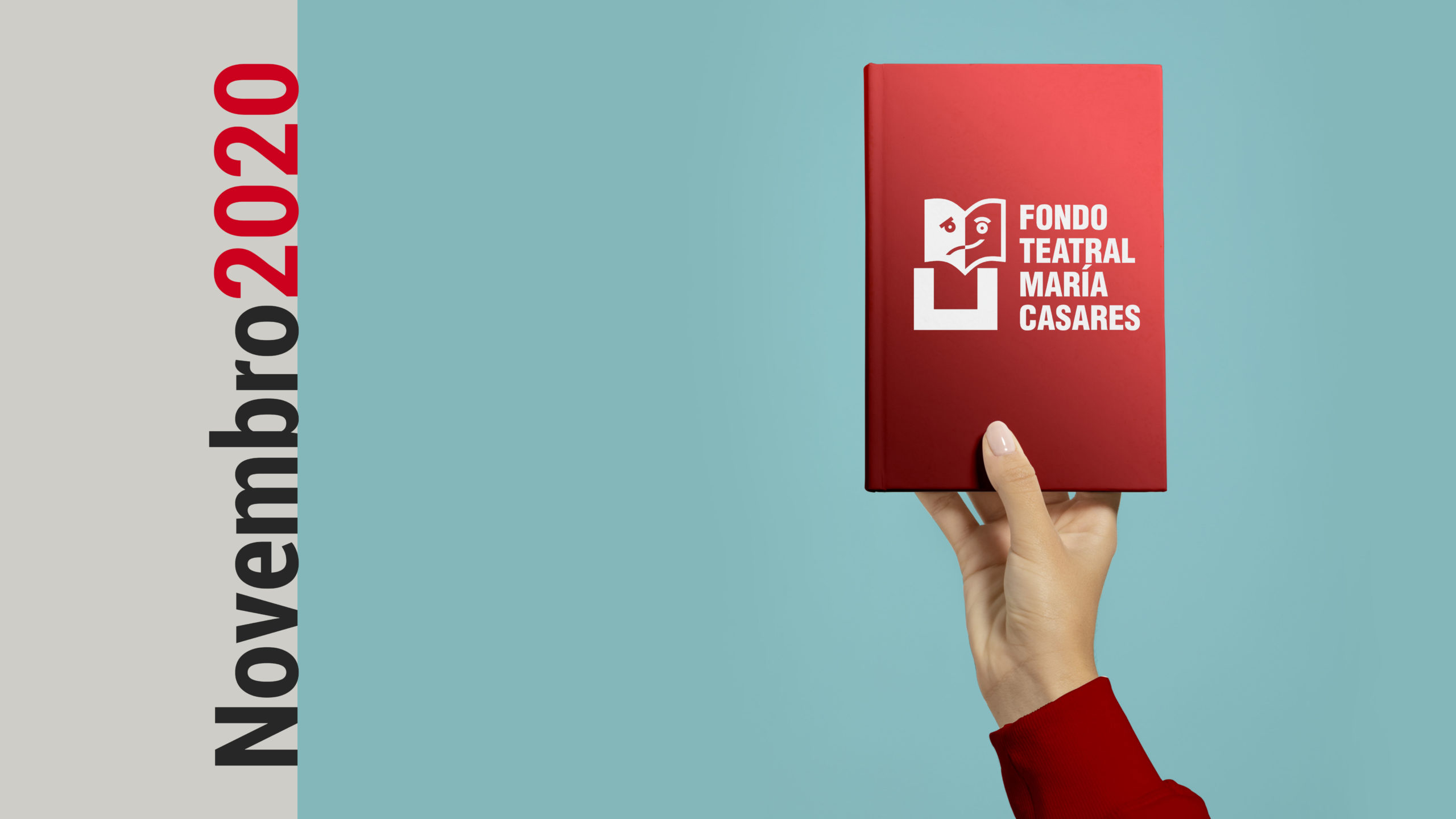 FTMC Boletín de novembro 2020