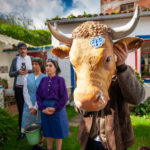 Imaxe promocional coproducion Relato para un incendio |