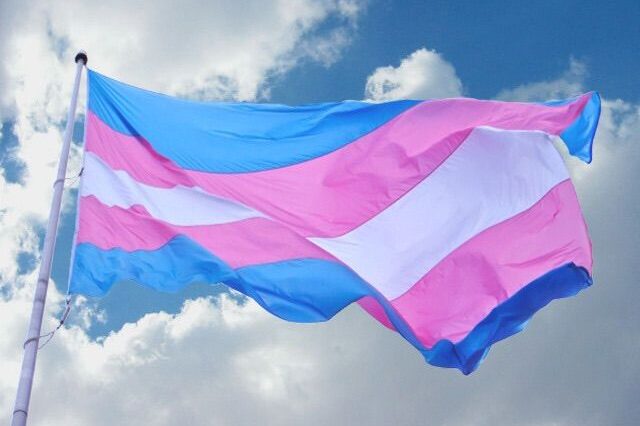 Bandera Trans