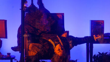 336909927 737951491136597 5385501409779921586 n