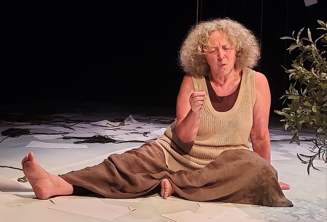 Fracturas ButacaZero