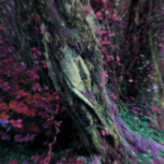 residenciaparaiso24 0