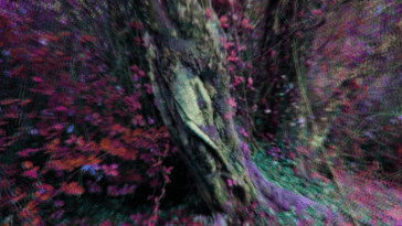 residenciaparaiso24 0