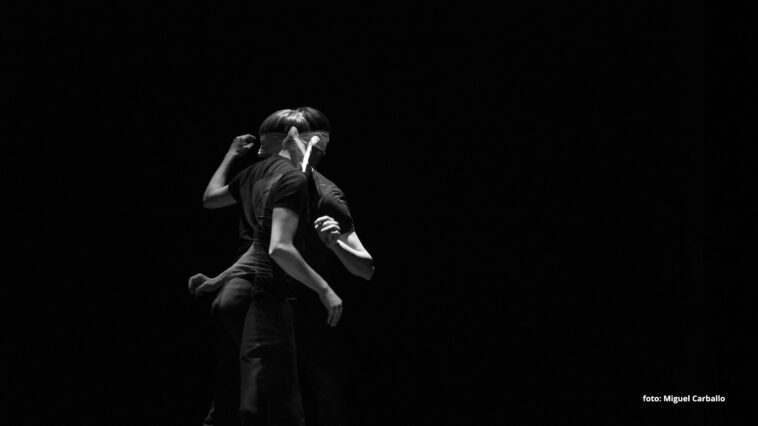 'Oximórica'. Foto de Miguel Carballo.