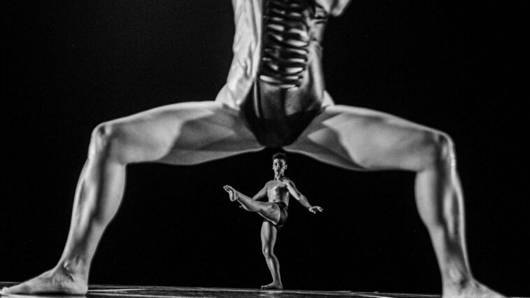 'Suores de Mel e a Morte Não Terá Domínio', fotografia realizada por @jpaulopimenta. Imagens do ano 2024 dos fotojornalistas do jornal 'Público'.