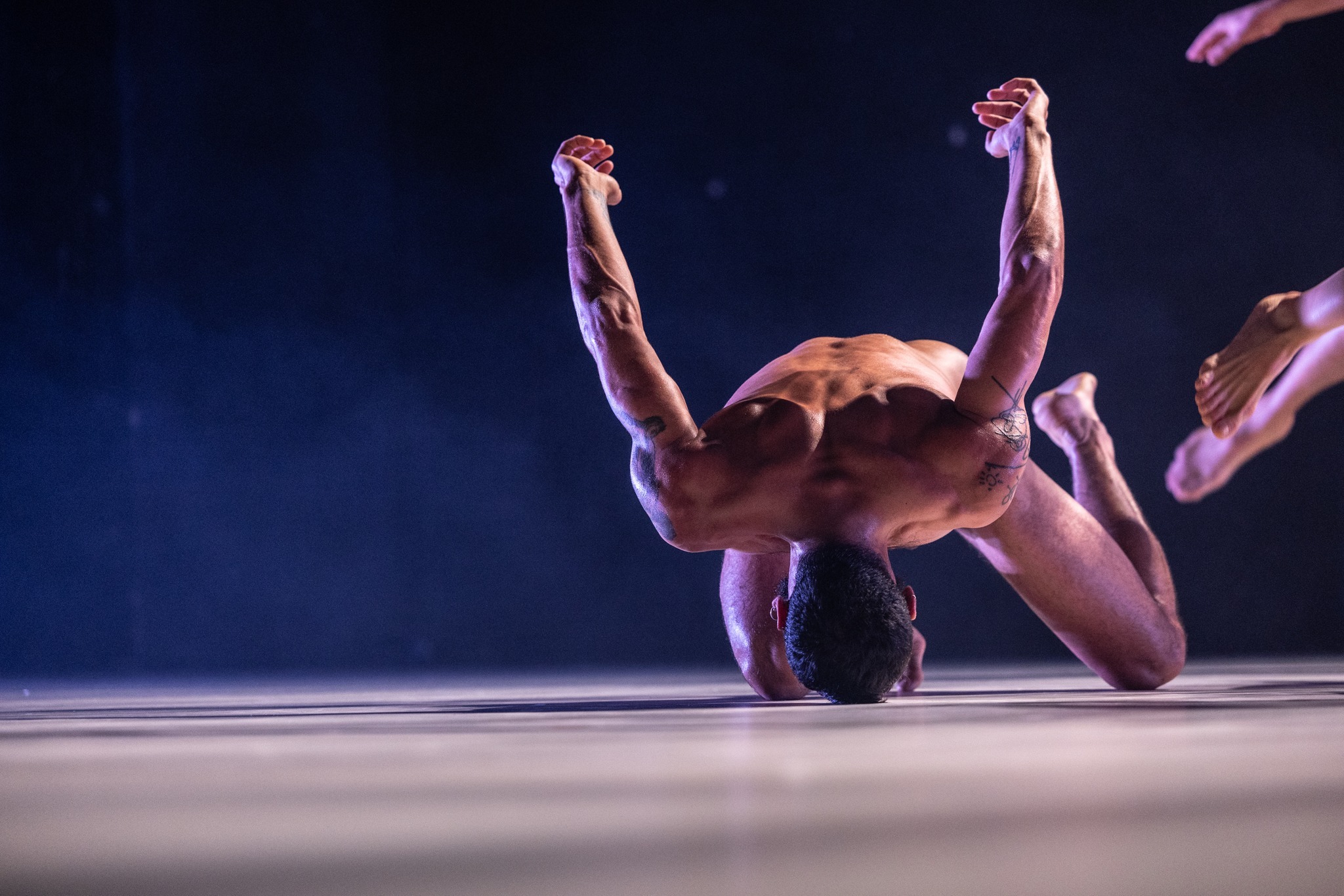 Foto: José Caldeira.