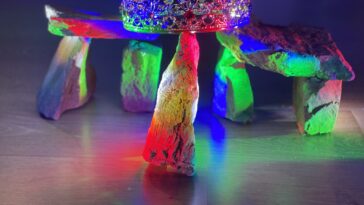 'Do reino (e) dos amores proscritos'. Foto de ensaio: Afonso Becerra