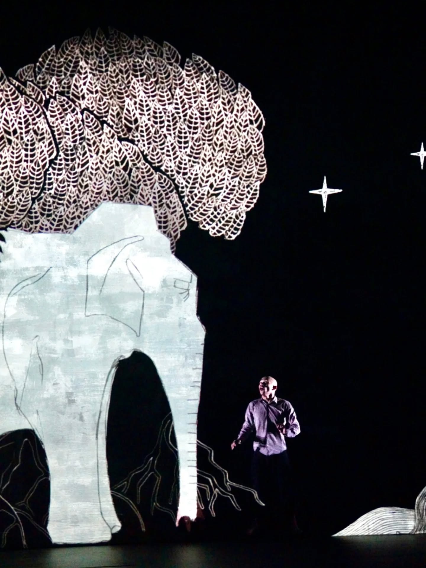 'Chotto Desh' no 15º GUIdance. Foto: Centro Cultural Vila Flor de Guimarães.